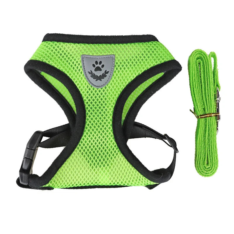 Harnais et laisse en maille respirante pour chat et petit chien, harnais pour chaton, chat, petit chien, chiot, bouledogue français, chihuahua, carlin