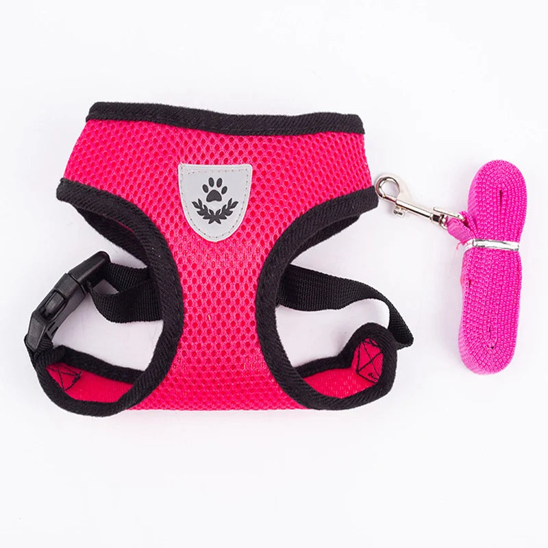 Harnais et laisse en maille respirante pour chat et petit chien, harnais pour chaton, chat, petit chien, chiot, bouledogue français, chihuahua, carlin