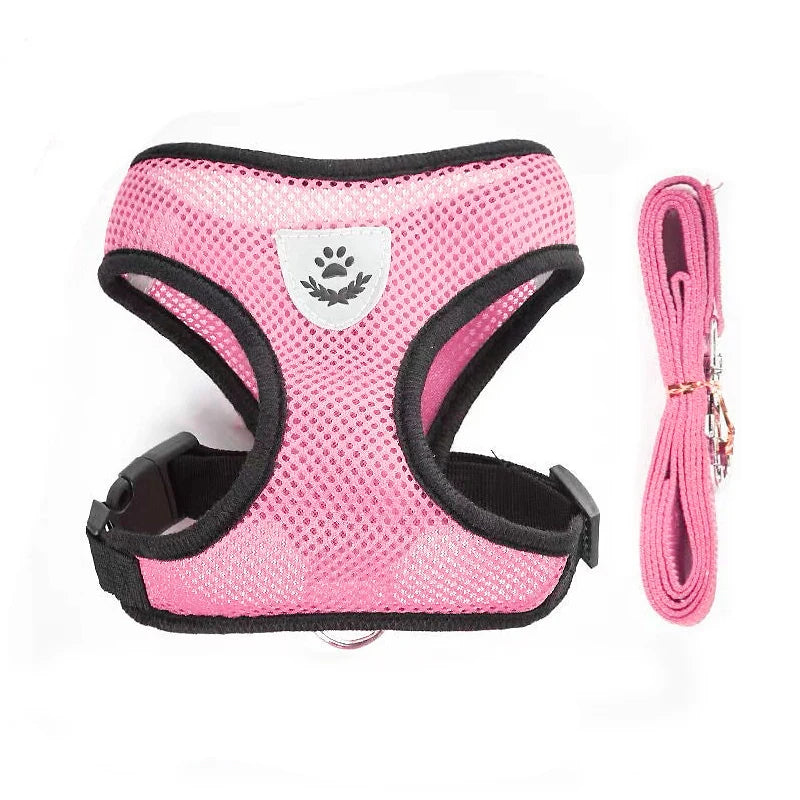 Harnais et laisse en maille respirante pour chat et petit chien, harnais pour chaton, chat, petit chien, chiot, bouledogue français, chihuahua, carlin