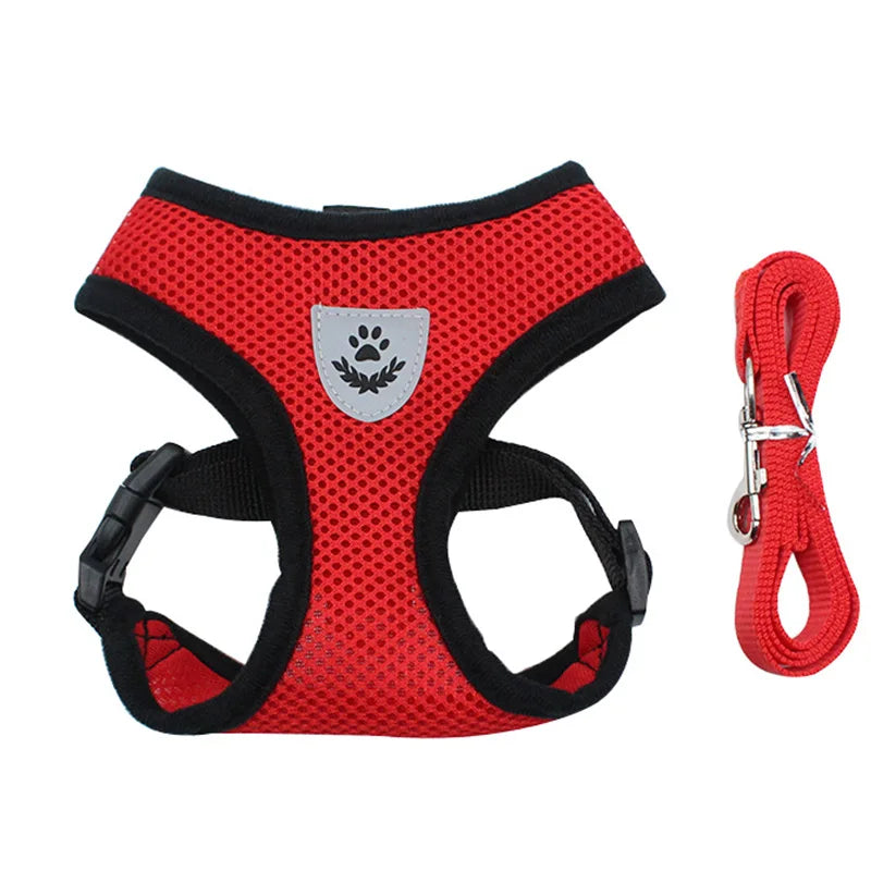 Harnais et laisse en maille respirante pour chat et petit chien, harnais pour chaton, chat, petit chien, chiot, bouledogue français, chihuahua, carlin