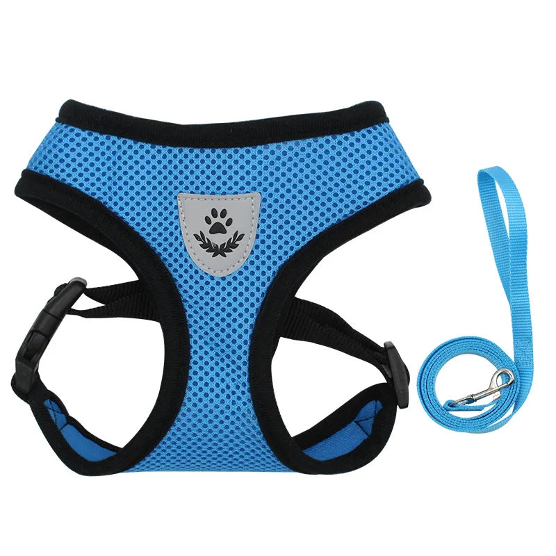 Harnais et laisse en maille respirante pour chat et petit chien, harnais pour chaton, chat, petit chien, chiot, bouledogue français, chihuahua, carlin