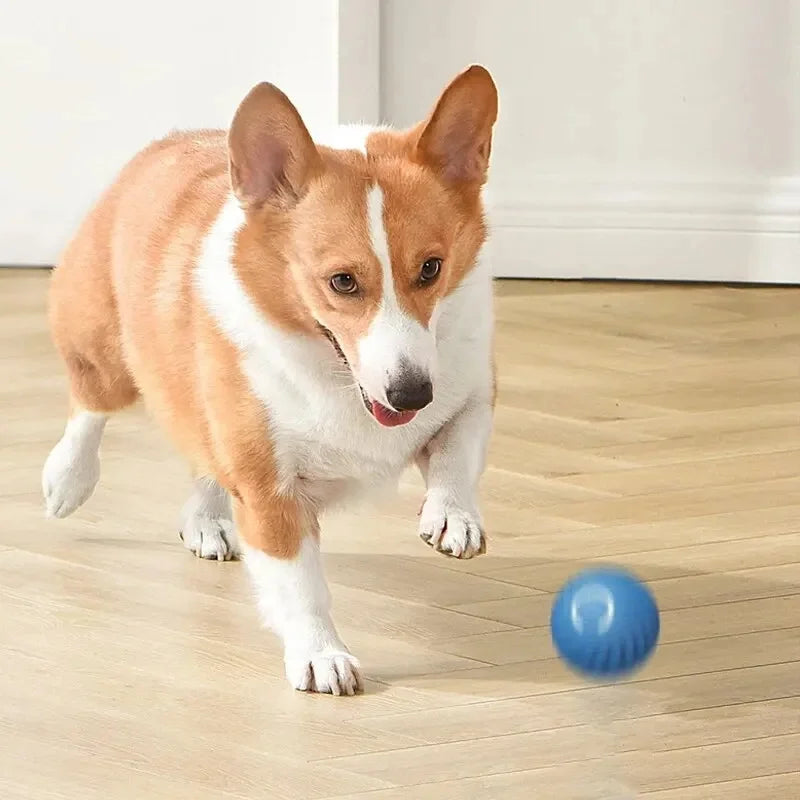 Jouet intelligent pour chien, balle électronique interactive pour animaux de compagnie