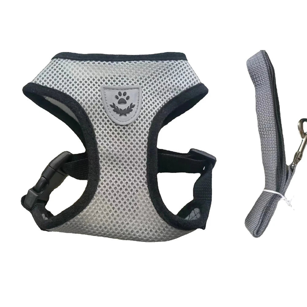 Harnais et laisse en maille respirante pour chat et petit chien, harnais pour chaton, chat, petit chien, chiot, bouledogue français, chihuahua, carlin