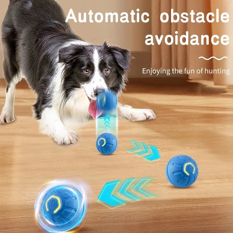 Jouet intelligent pour chien, balle électronique interactive pour animaux de compagnie