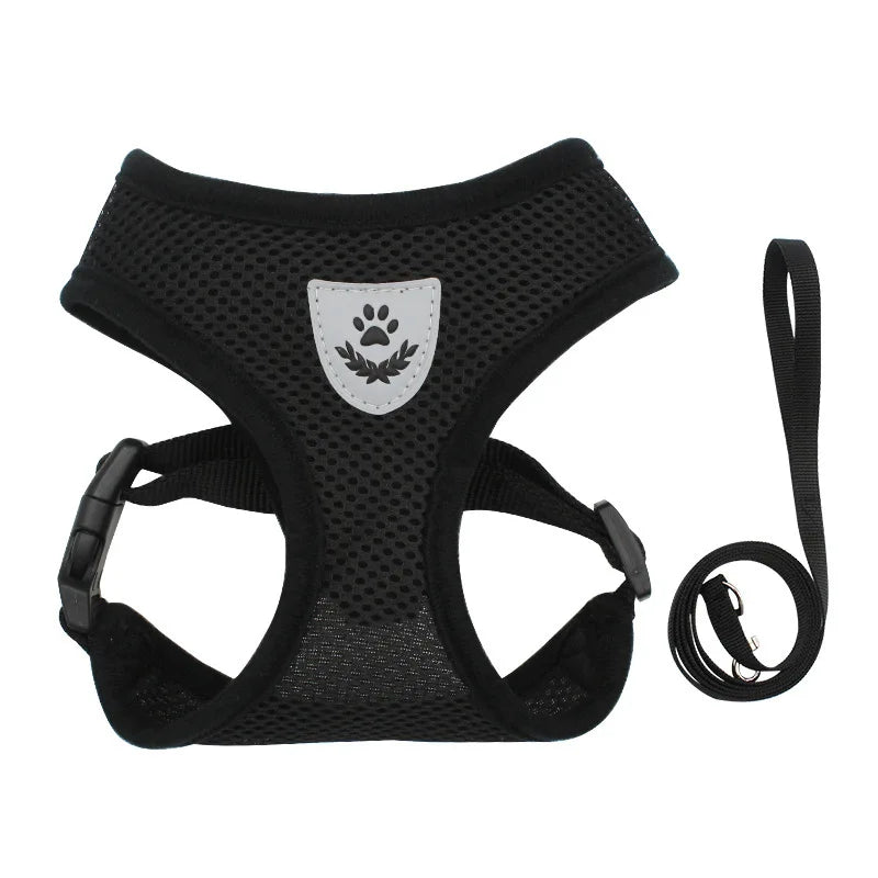 Harnais et laisse en maille respirante pour chat et petit chien, harnais pour chaton, chat, petit chien, chiot, bouledogue français, chihuahua, carlin