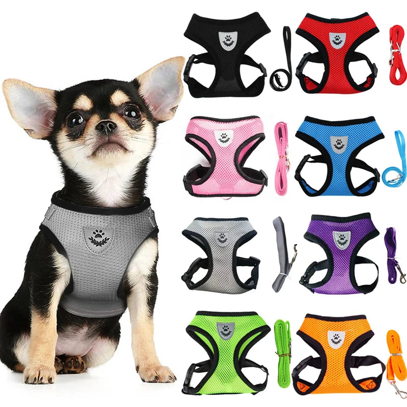 Harnais et laisse en maille respirante pour chat et petit chien, harnais pour chaton, chat, petit chien, chiot, bouledogue français, chihuahua, carlin