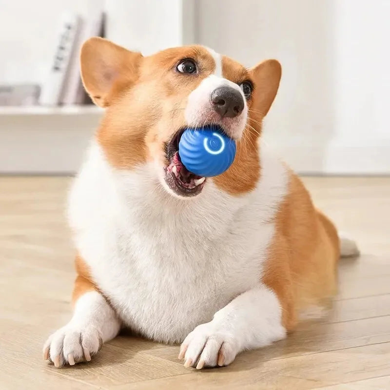 Jouet intelligent pour chien, balle électronique interactive pour animaux de compagnie
