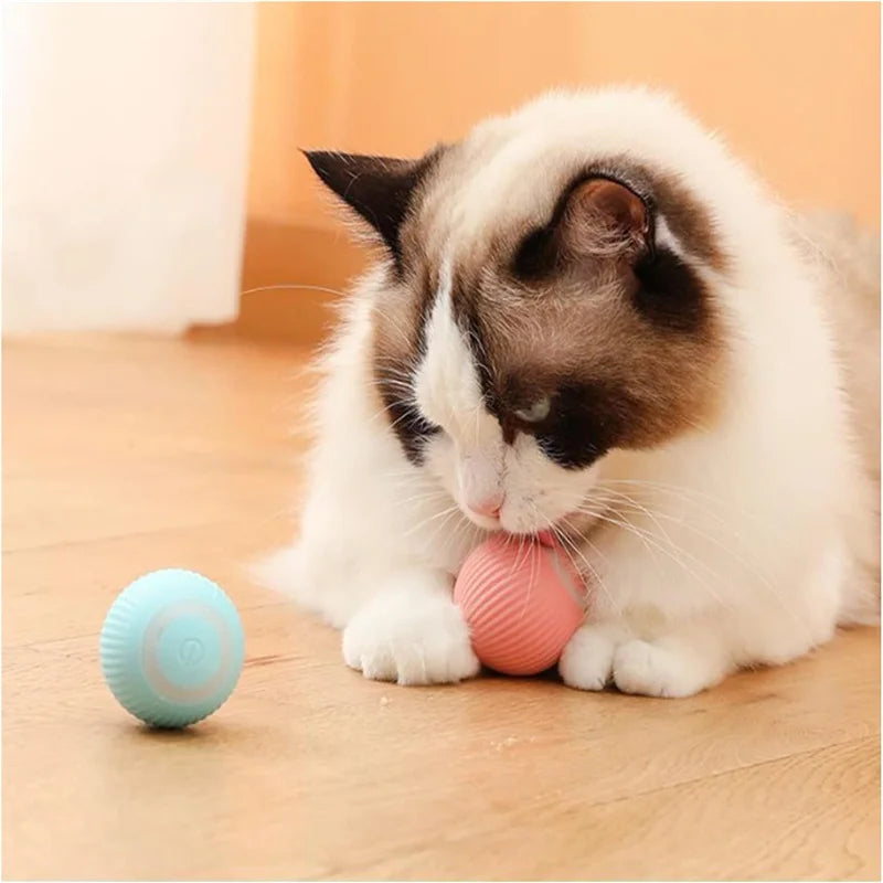 Jouet intelligent pour chien, balle électronique interactive pour animaux de compagnie