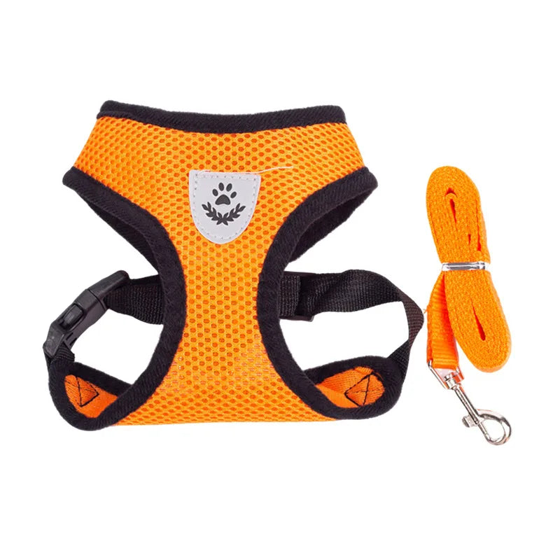 Harnais et laisse en maille respirante pour chat et petit chien, harnais pour chaton, chat, petit chien, chiot, bouledogue français, chihuahua, carlin
