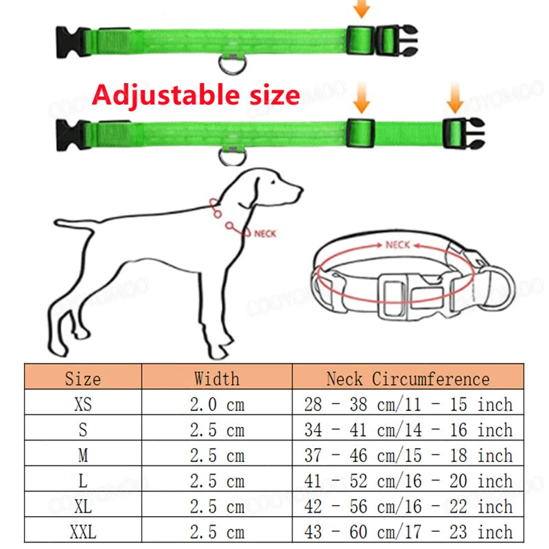 Collier chien lumineux  à Led Usb Chat Chiens Colliers Détachable Collier de prévention Accessoires pour animaux de compagnie