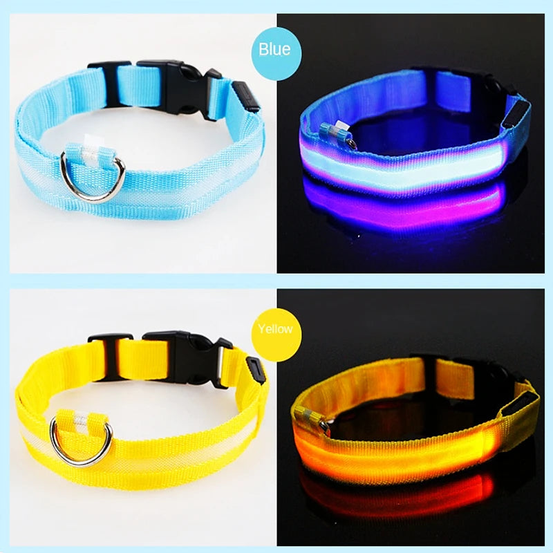 Collier chien lumineux  à Led Usb Chat Chiens Colliers Détachable Collier de prévention Accessoires pour animaux de compagnie