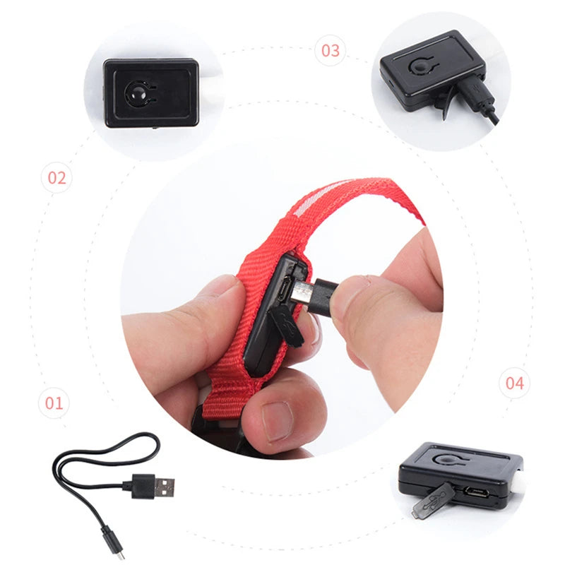 Collier chien lumineux  à Led Usb Chat Chiens Colliers Détachable Collier de prévention Accessoires pour animaux de compagnie
