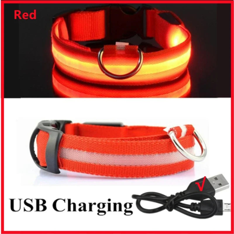 Collier chien lumineux  à Led Usb Chat Chiens Colliers Détachable Collier de prévention Accessoires pour animaux de compagnie