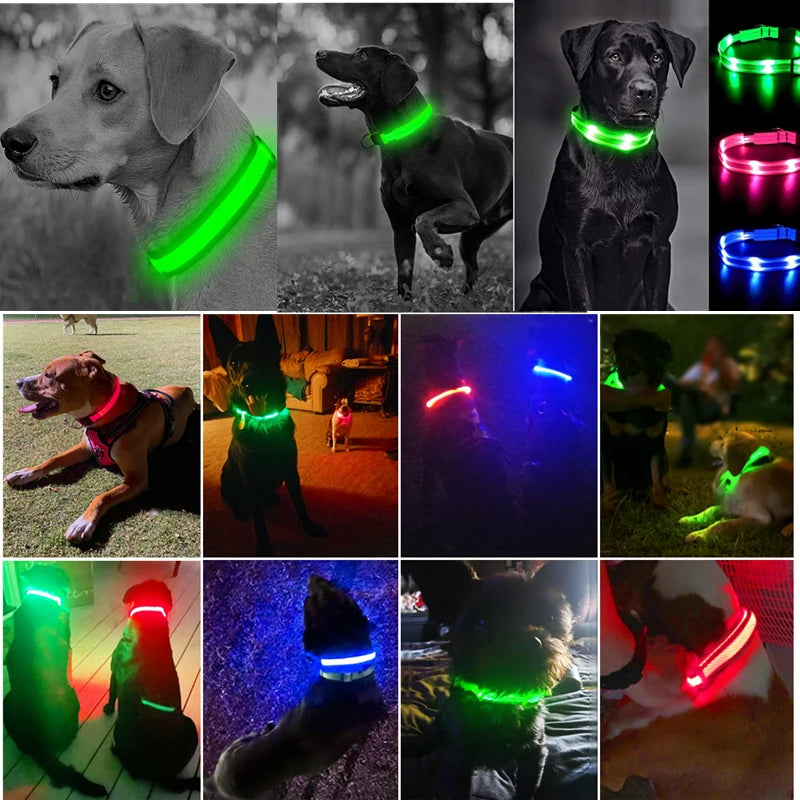 Collier chien lumineux  à Led Usb Chat Chiens Colliers Détachable Collier de prévention Accessoires pour animaux de compagnie