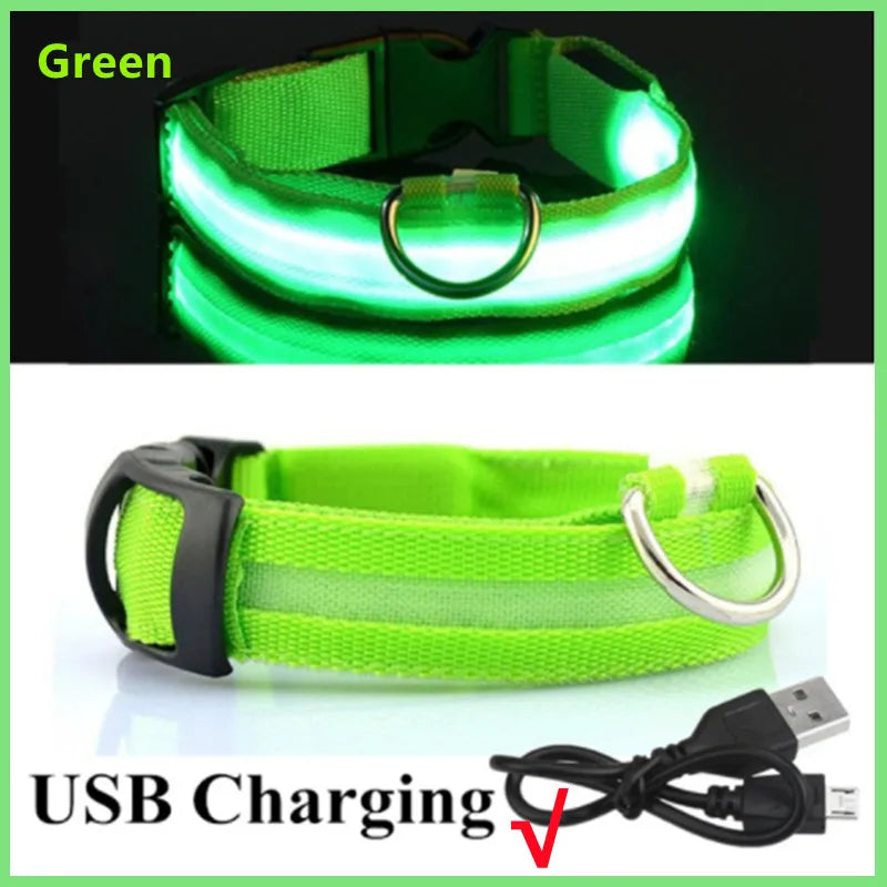 Collier chien lumineux  à Led Usb Chat Chiens Colliers Détachable Collier de prévention Accessoires pour animaux de compagnie