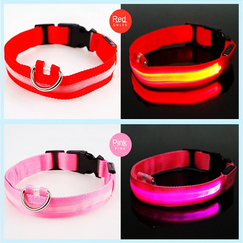 Collier chien lumineux  à Led Usb Chat Chiens Colliers Détachable Collier de prévention Accessoires pour animaux de compagnie