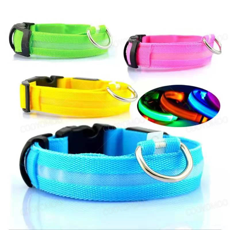 Collier chien lumineux  à Led Usb Chat Chiens Colliers Détachable Collier de prévention Accessoires pour animaux de compagnie