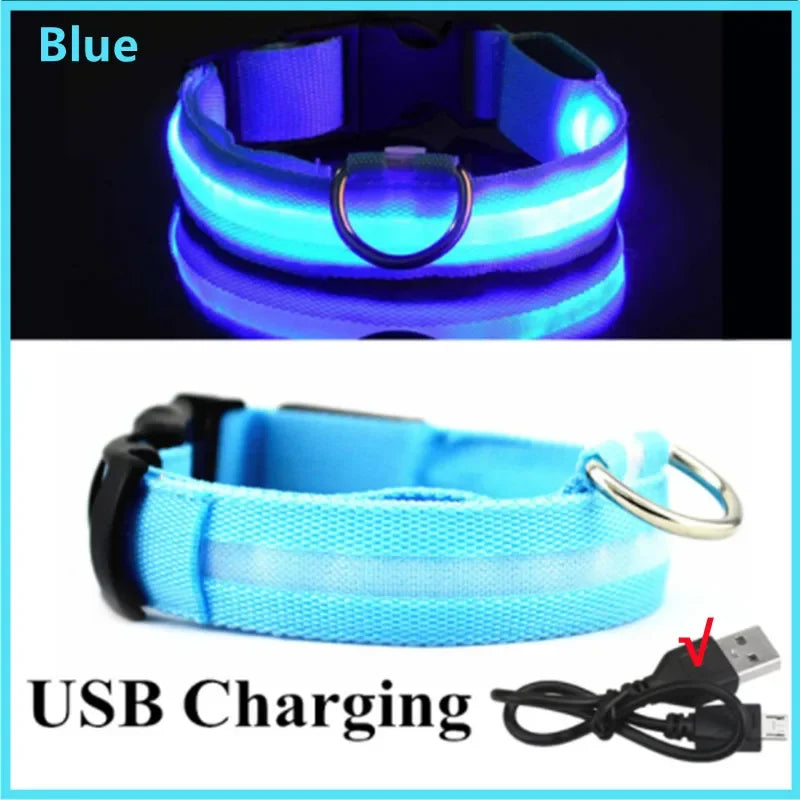 Collier chien lumineux  à Led Usb Chat Chiens Colliers Détachable Collier de prévention Accessoires pour animaux de compagnie