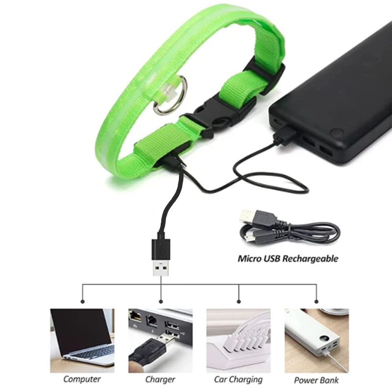 Collier chien lumineux  à Led Usb Chat Chiens Colliers Détachable Collier de prévention Accessoires pour animaux de compagnie