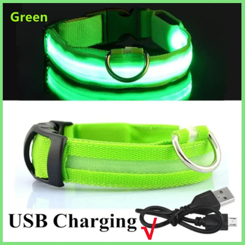 Collier chien lumineux  à Led Usb Chat Chiens Colliers Détachable Collier de prévention Accessoires pour animaux de compagnie