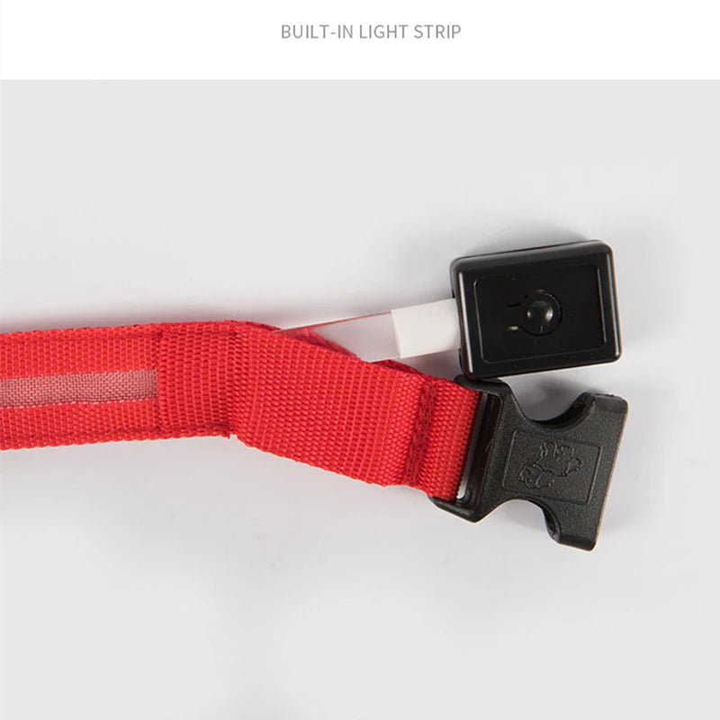 Collier chien lumineux  à Led Usb Chat Chiens Colliers Détachable Collier de prévention Accessoires pour animaux de compagnie