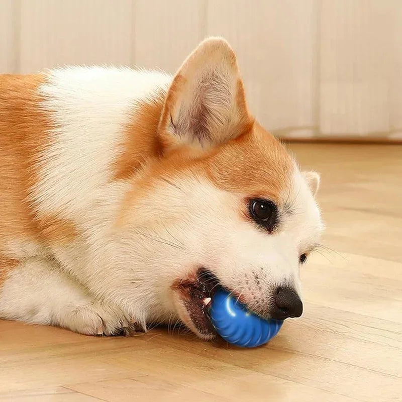 Jouet intelligent pour chien, balle électronique interactive pour animaux de compagnie