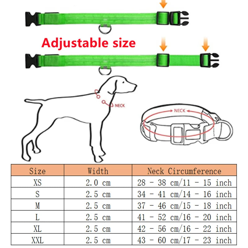 Collier chien lumineux  à Led Usb Chat Chiens Colliers Détachable Collier de prévention Accessoires pour animaux de compagnie