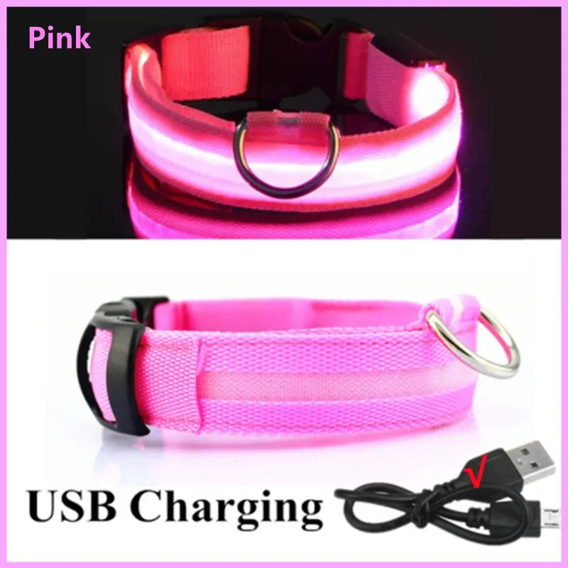 Collier chien lumineux  à Led Usb Chat Chiens Colliers Détachable Collier de prévention Accessoires pour animaux de compagnie