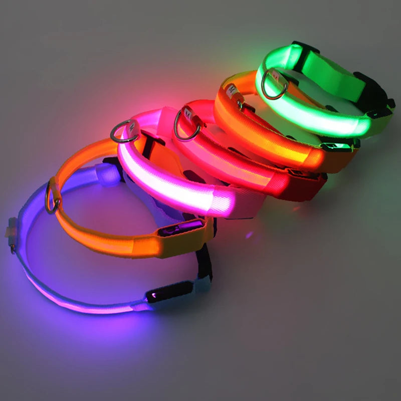 Collier chien lumineux  à Led Usb Chat Chiens Colliers Détachable Collier de prévention Accessoires pour animaux de compagnie