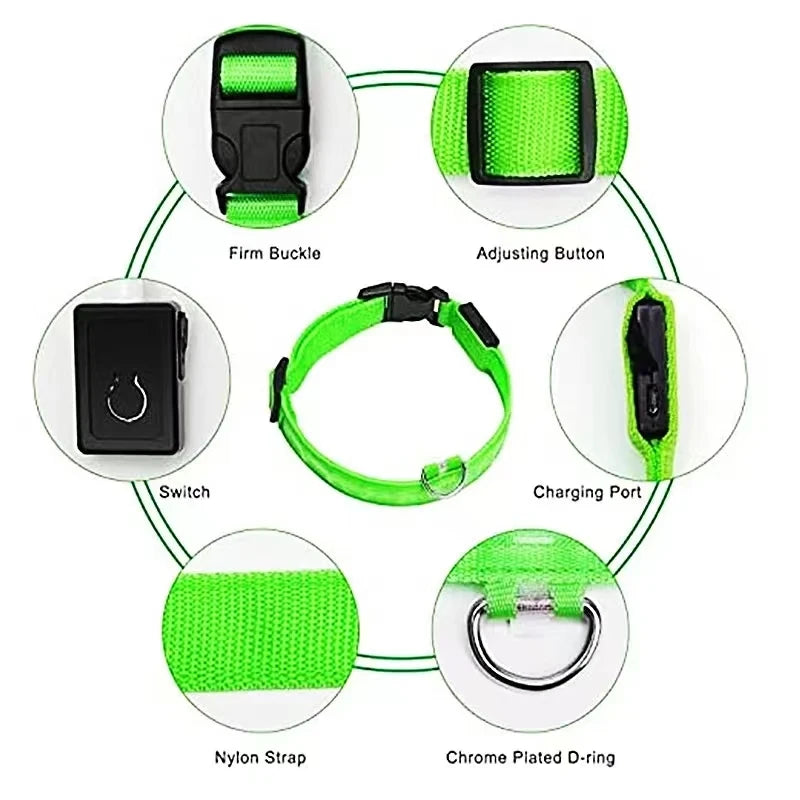 Collier chien lumineux  à Led Usb Chat Chiens Colliers Détachable Collier de prévention Accessoires pour animaux de compagnie