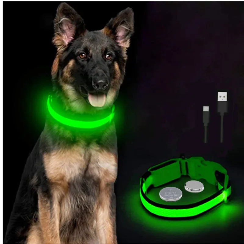 Collier chien lumineux  à Led Usb Chat Chiens Colliers Détachable Collier de prévention Accessoires pour animaux de compagnie