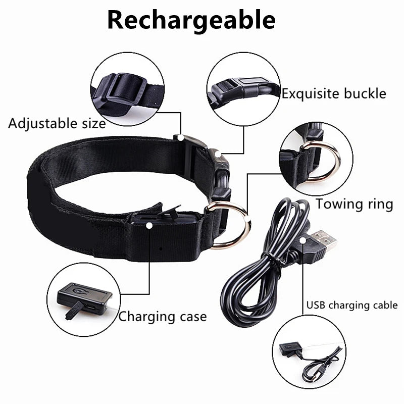 Collier chien lumineux  à Led Usb Chat Chiens Colliers Détachable Collier de prévention Accessoires pour animaux de compagnie