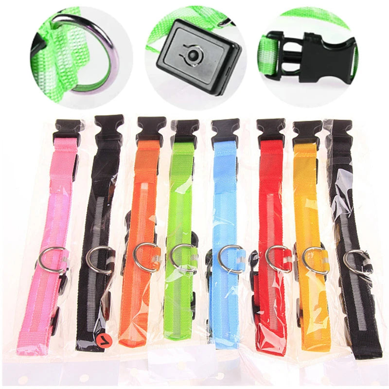 Collier chien lumineux  à Led Usb Chat Chiens Colliers Détachable Collier de prévention Accessoires pour animaux de compagnie