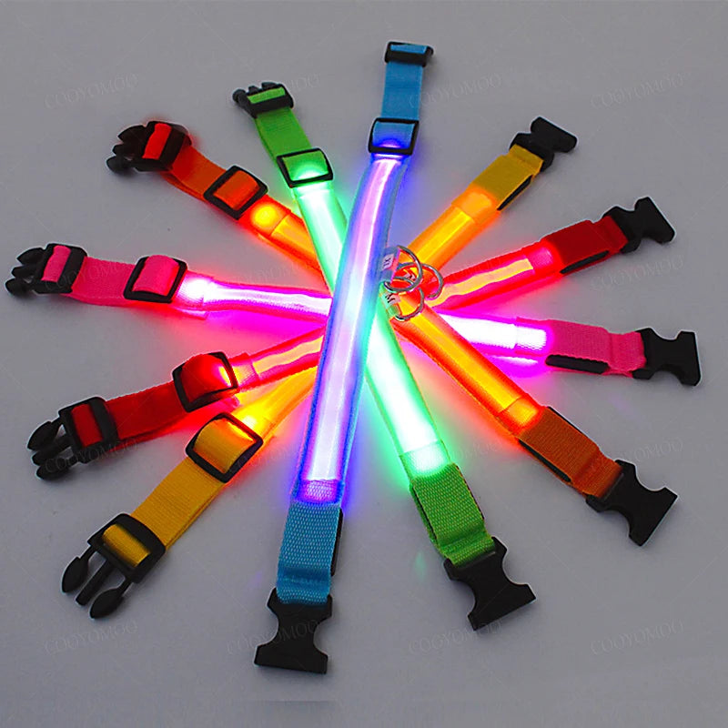 Collier chien lumineux  à Led Usb Chat Chiens Colliers Détachable Collier de prévention Accessoires pour animaux de compagnie