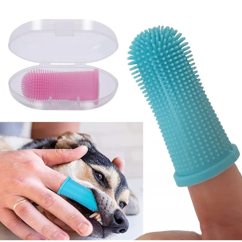 Brosse à dents chiens chats