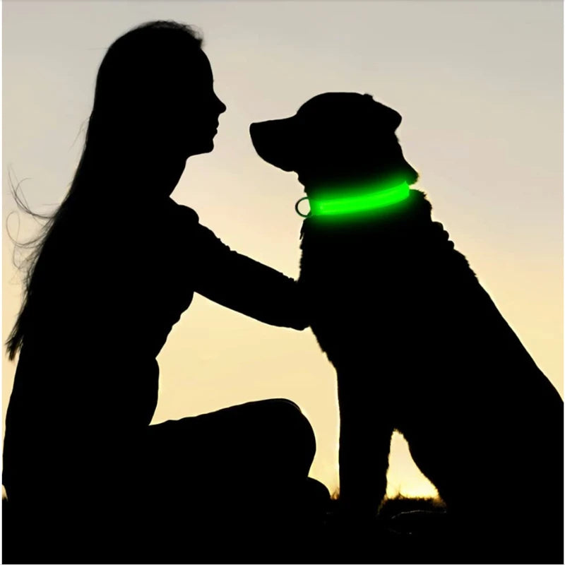 Collier chien lumineux  à Led Usb Chat Chiens Colliers Détachable Collier de prévention Accessoires pour animaux de compagnie