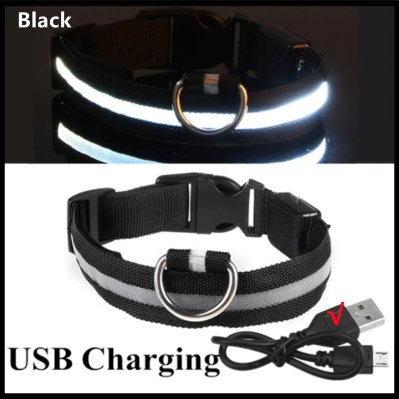Collier chien lumineux  à Led Usb Chat Chiens Colliers Détachable Collier de prévention Accessoires pour animaux de compagnie