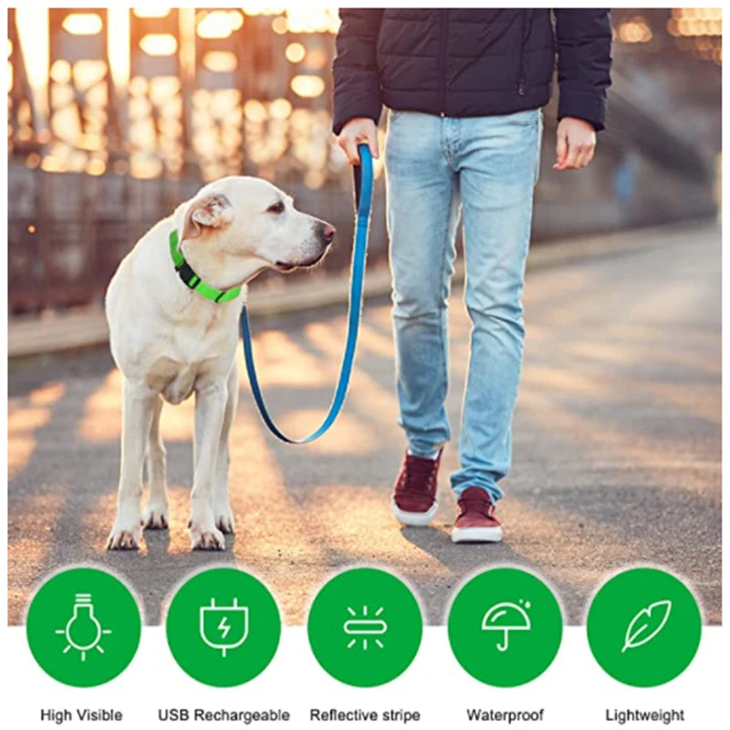 Collier chien lumineux  à Led Usb Chat Chiens Colliers Détachable Collier de prévention Accessoires pour animaux de compagnie
