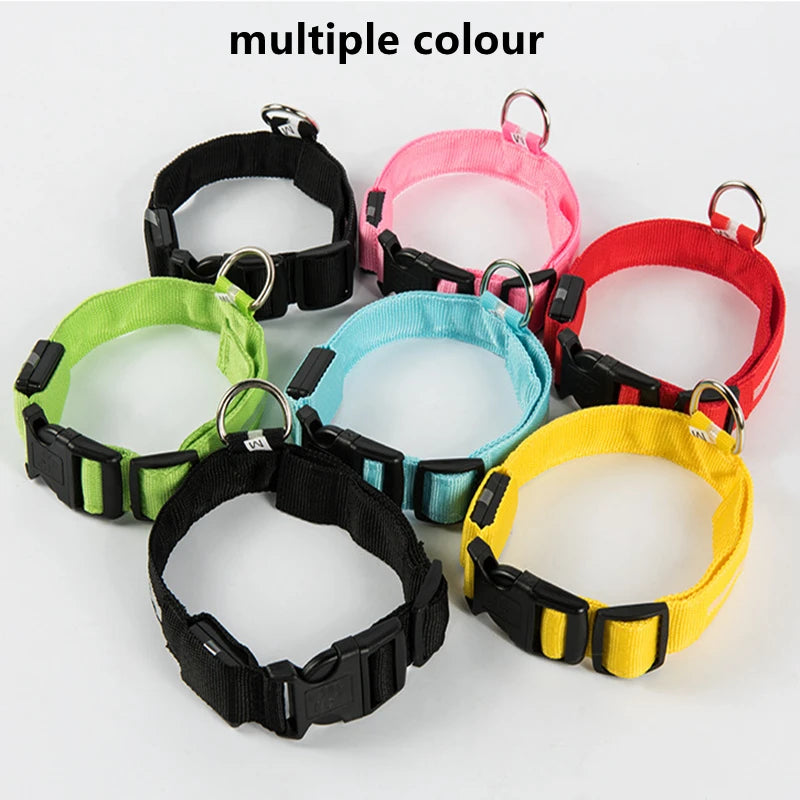 Collier chien lumineux  à Led Usb Chat Chiens Colliers Détachable Collier de prévention Accessoires pour animaux de compagnie