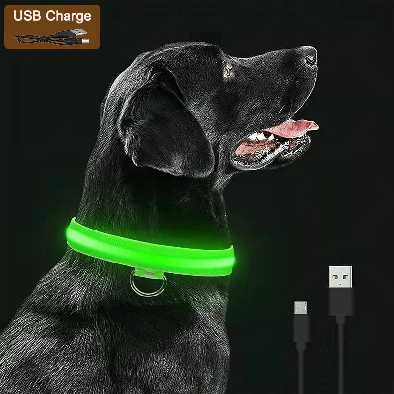 Collier chien lumineux  à Led Usb Chat Chiens Colliers Détachable Collier de prévention Accessoires pour animaux de compagnie