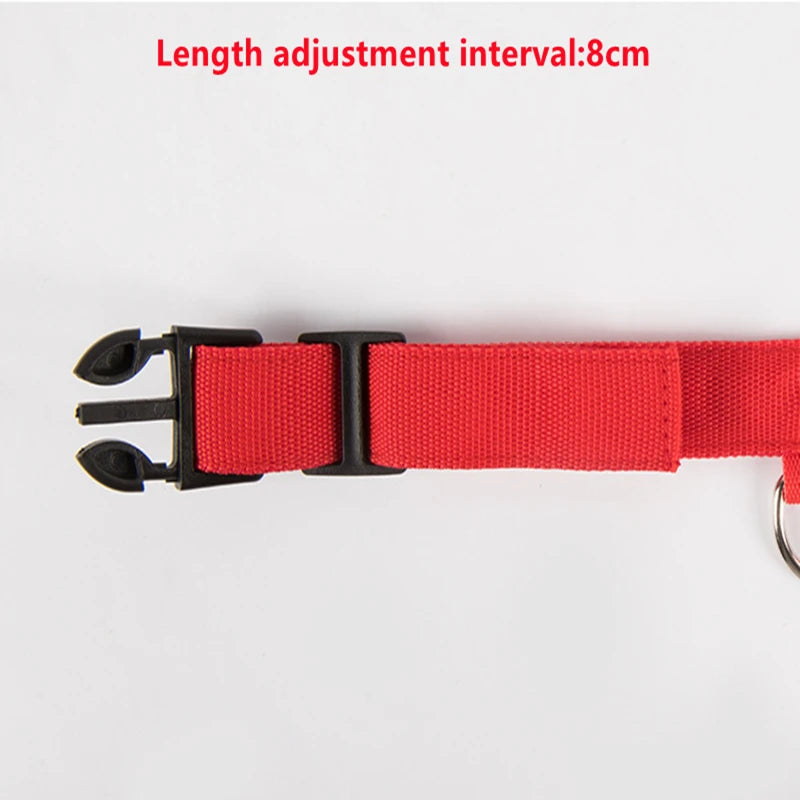Collier chien lumineux  à Led Usb Chat Chiens Colliers Détachable Collier de prévention Accessoires pour animaux de compagnie