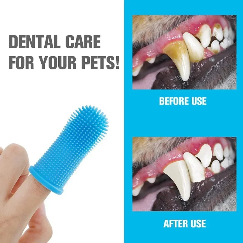 Brosse à dents chiens chats